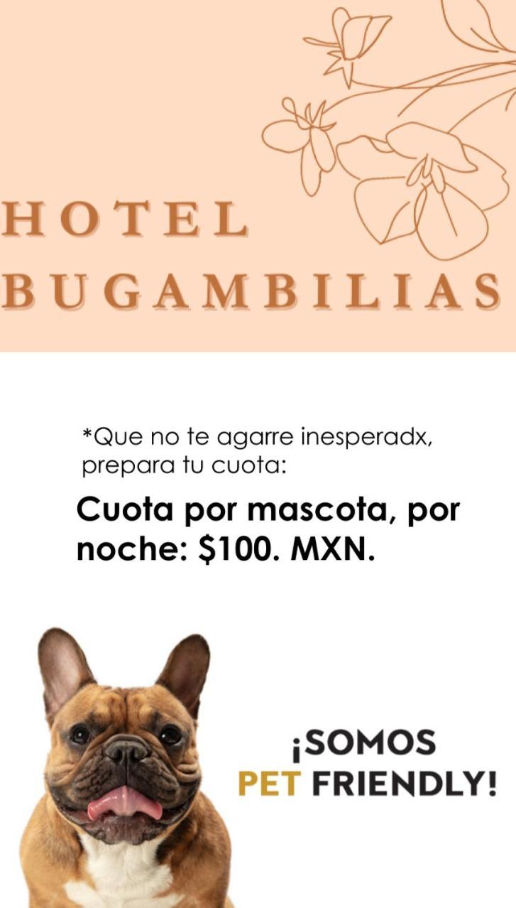 Hotel Bugambilias Oaxaca Eksteriør billede